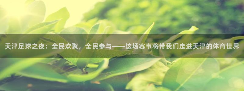  天津足球之夜：全民欢聚，全民参与——这场赛事将带我们走进天津