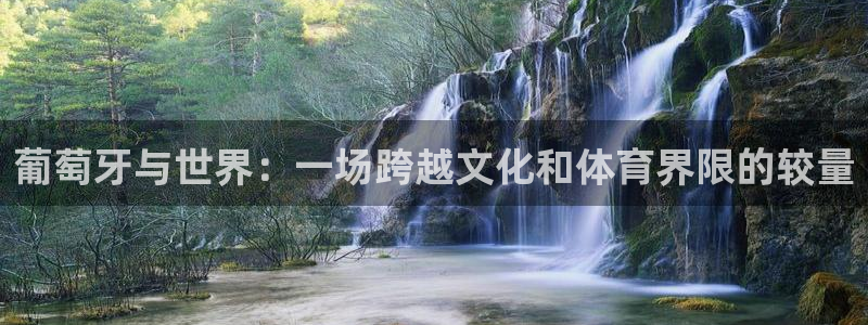 葡萄牙与世界：一场跨越文化和体育界限的较量
