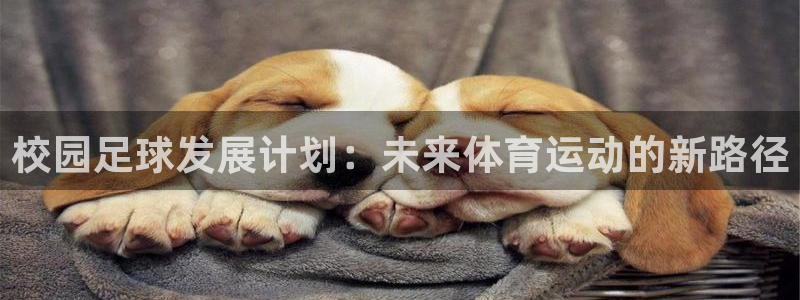 校园足球发展计划：未来体育运动的新路径