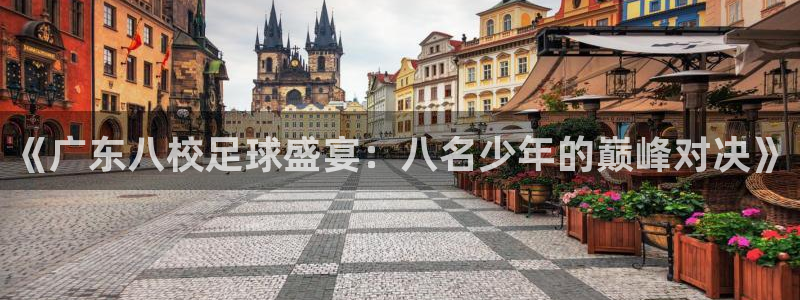 《广东八校足球盛宴：八名少年的巅峰对决》