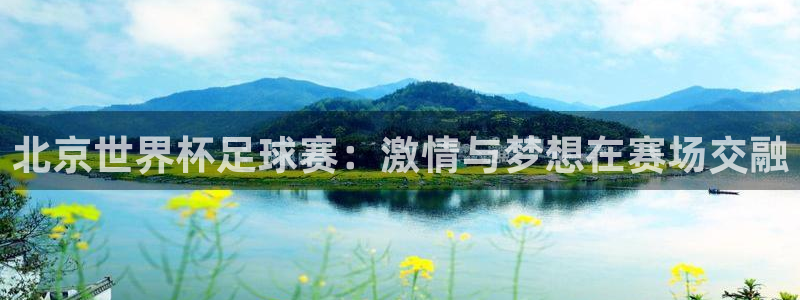  北京世界杯足球赛：激情与梦想在赛场交融