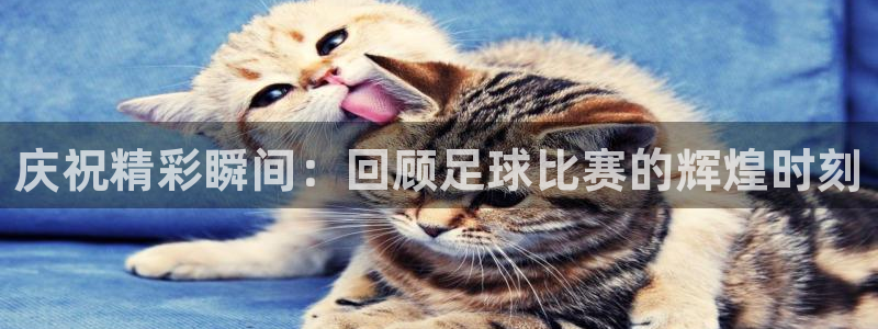  庆祝精彩瞬间：回顾足球比赛的辉煌时刻