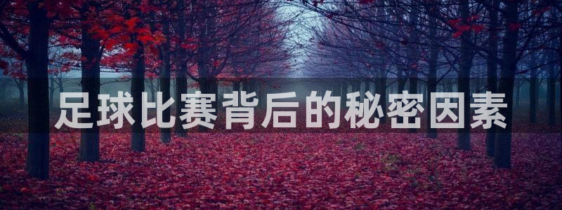  足球比赛背后的秘密因素