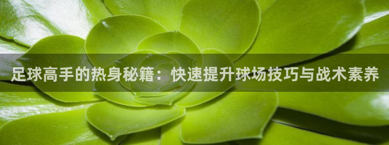  足球高手的热身秘籍：快速提升球场技巧与战术素养
