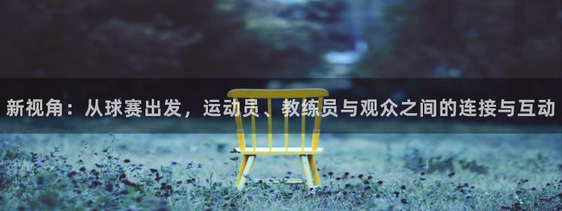  新视角：从球赛出发，运动员、教练员与观众之间的连接与互动