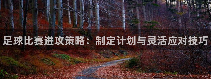  足球比赛进攻策略：制定计划与灵活应对技巧