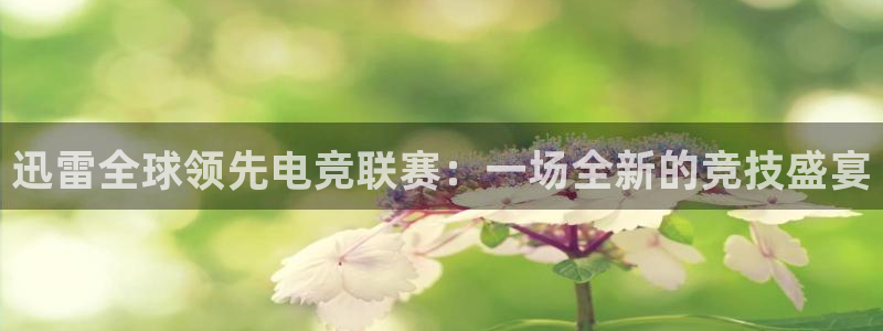 迅雷全球领先电竞联赛：一场全新的竞技盛宴