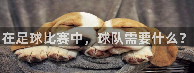 在足球比赛中，球队需要什么？