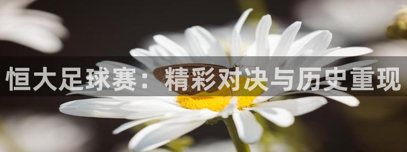 恒大足球赛：精彩对决与历史重现