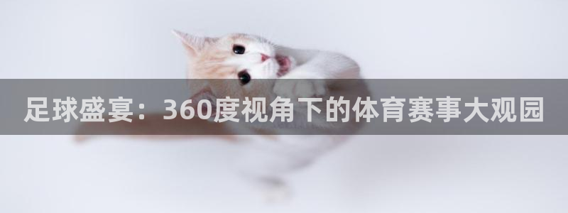  足球盛宴：360度视角下的体育赛事大观园