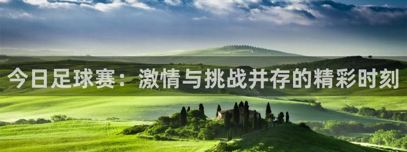  今日足球赛：激情与挑战并存的精彩时刻