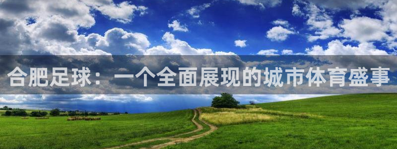  合肥足球：一个全面展现的城市体育盛事