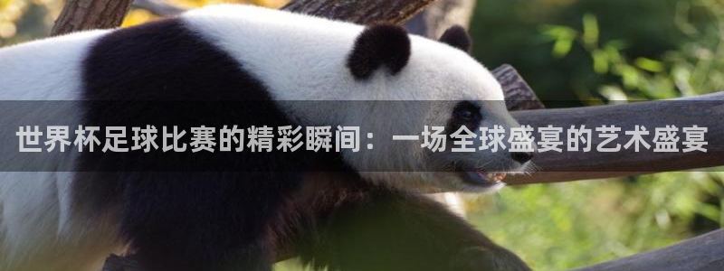世界杯足球比赛的精彩瞬间：一场全球盛宴的艺术盛宴