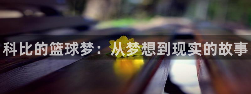  科比的篮球梦：从梦想到现实的故事