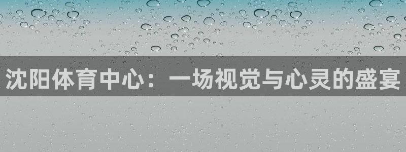 沈阳体育中心：一场视觉与心灵的盛宴