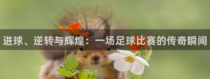  进球、逆转与辉煌：一场足球比赛的传奇瞬间