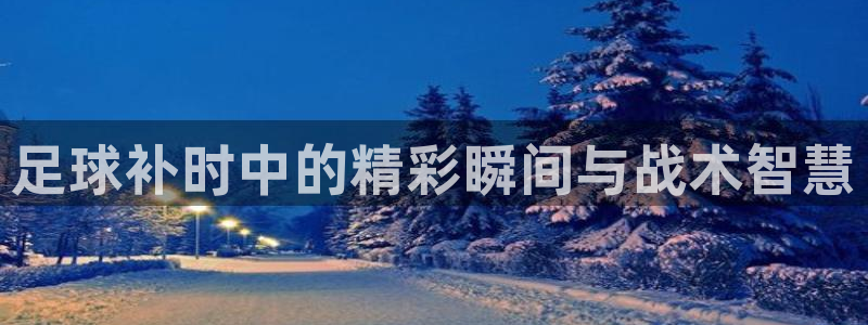 足球补时中的精彩瞬间与战术智慧