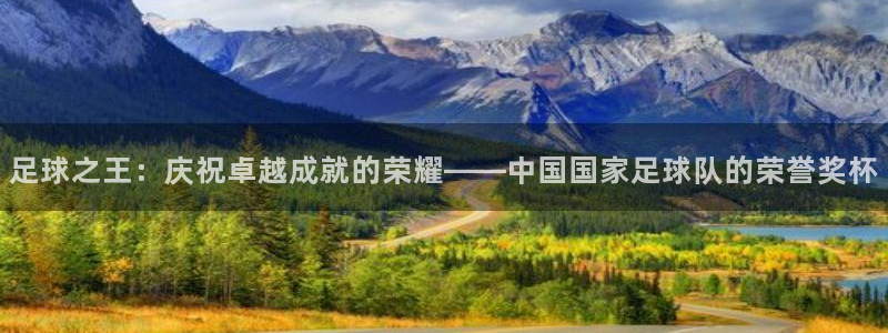 足球之王：庆祝卓越成就的荣耀——中国国家足球队的荣誉奖杯