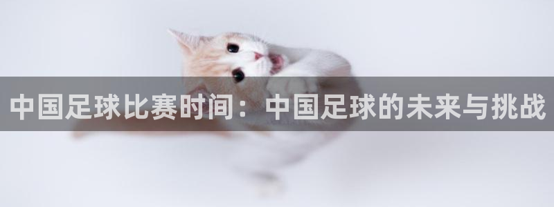 中国足球比赛时间：中国足球的未来与挑战
