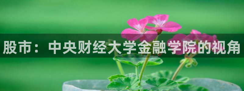 球神直播体育在线：股市：中央财经大学金融学院的视角