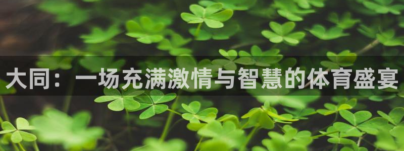 大同：一场充满激情与智慧的体育盛宴