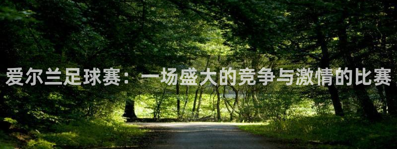 爱尔兰足球赛：一场盛大的竞争与激情的