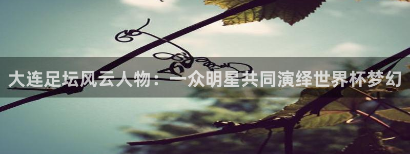 大连足坛风云人物：一众明星共同演绎世