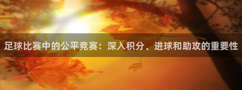 足球比赛中的公平竞赛：深入积分、进球