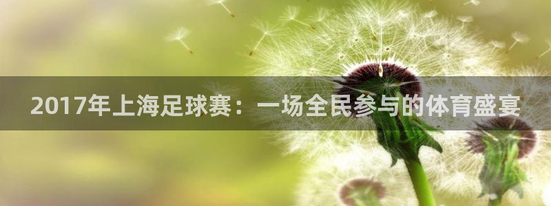 2017年上海足球赛：一场全民参与的