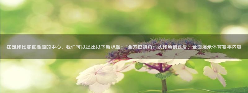 在足球比赛直播源的中心，我们可以提出