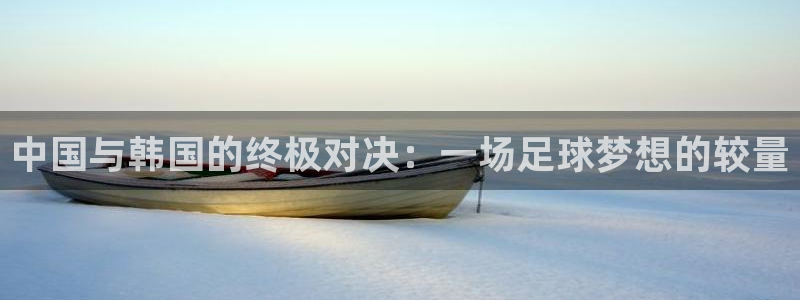 中国与韩国的终极对决：一场足球梦想的