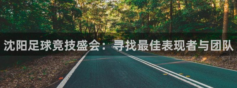 沈阳足球竞技盛会：寻找最佳表现者与团