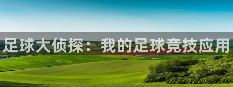 足球大侦探：我的足球竞技应用