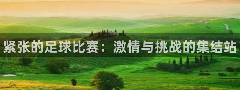 紧张的足球比赛：激情与挑战的集结站
