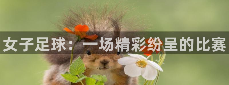 女子足球：一场精彩纷呈的比赛
