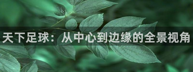 球神直播免费体育直播