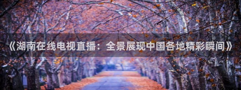 球神直播体育在线