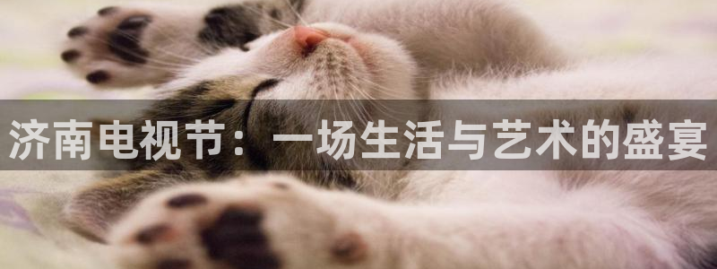 球神直播体育免费观看