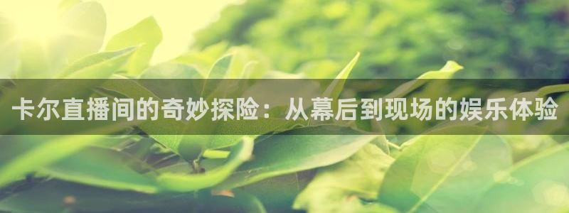 nba直播球神：卡尔直播间的奇妙探险：从幕后到现场的娱乐体验