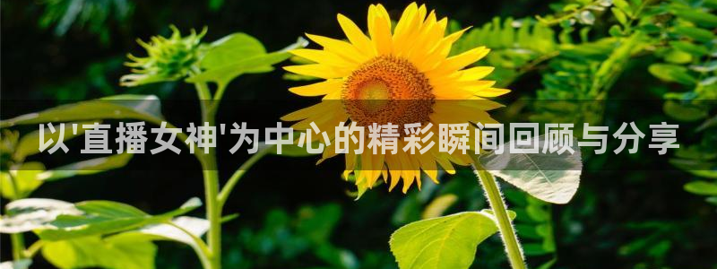 球神直播体育在线观看：以\'直播女神\'为中心的精彩瞬间回顾与分享