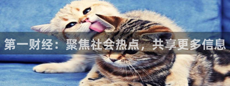 球神体育直播：第一财经：聚焦社会热点，共享更多信息