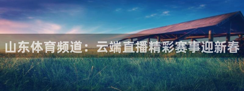 球神直播体育：山东体育频道：云端直播精彩赛事迎新春